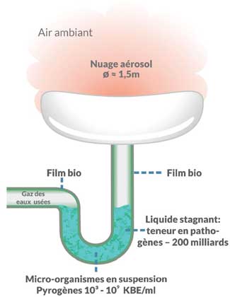 siphon